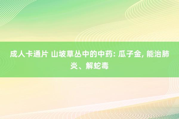 成人卡通片 山坡草丛中的中药: 瓜子金, 能治肺炎、解蛇毒